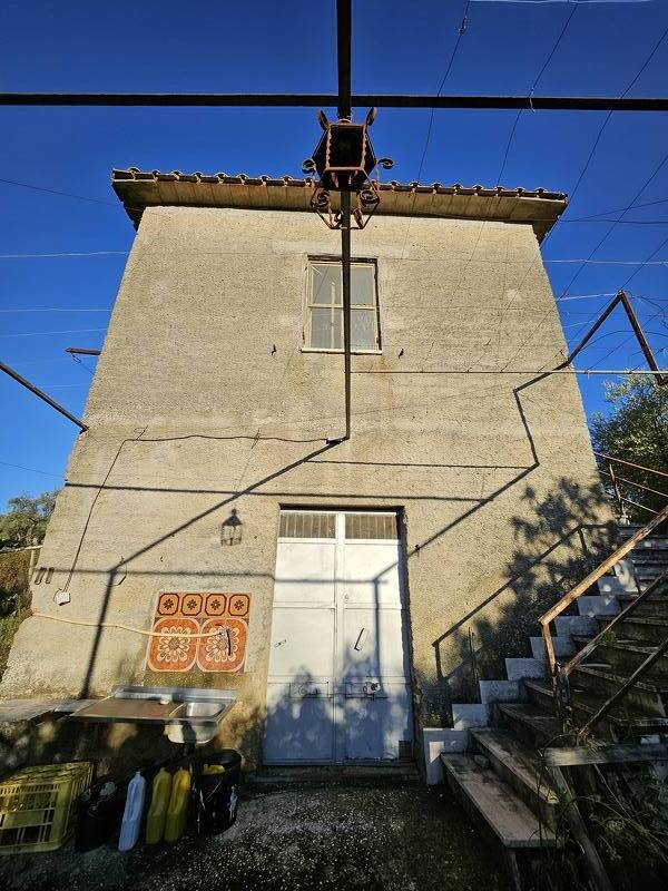 foto principale del terreno