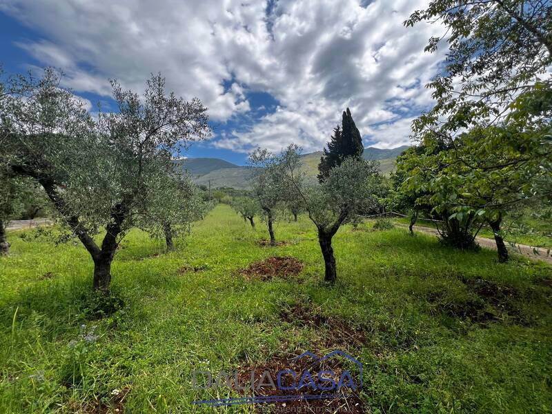 foto principale del terreno