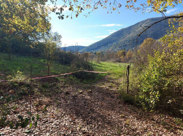 foto principale del terreno