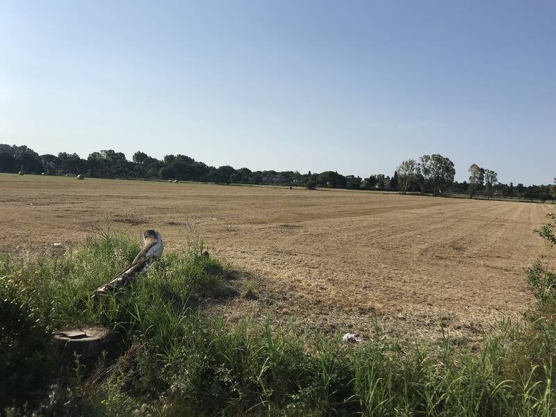 foto principale del terreno