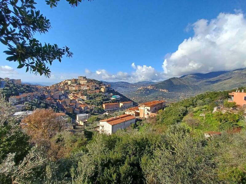 foto principale del terreno