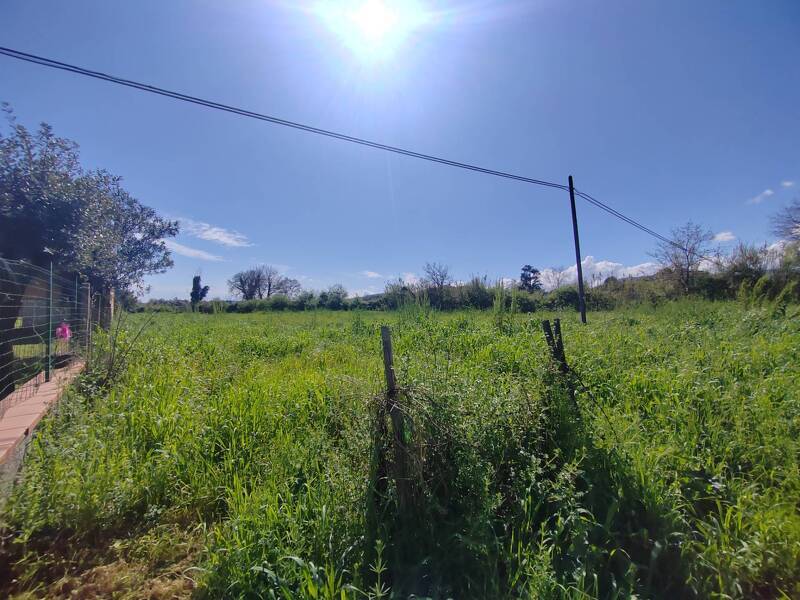 foto principale del terreno