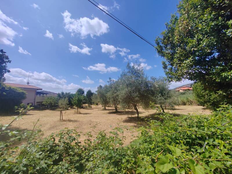 foto principale del terreno