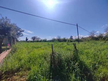 foto principale del terreno