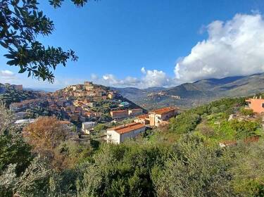 foto principale del terreno