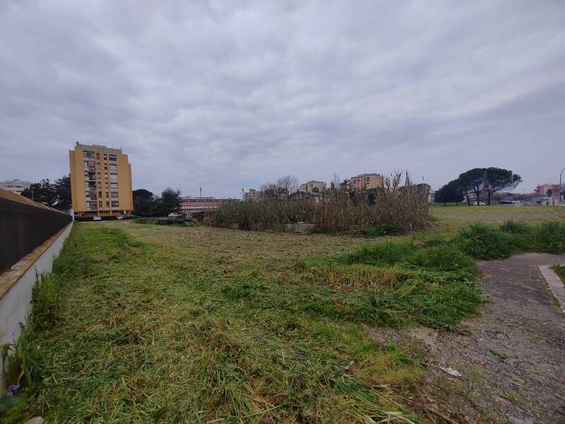foto principale del terreno