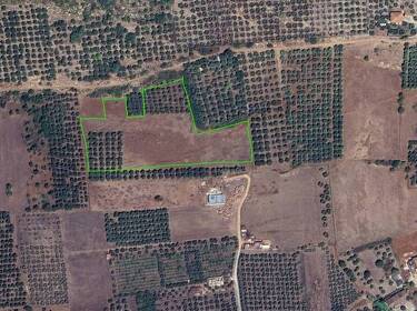 foto principale del terreno