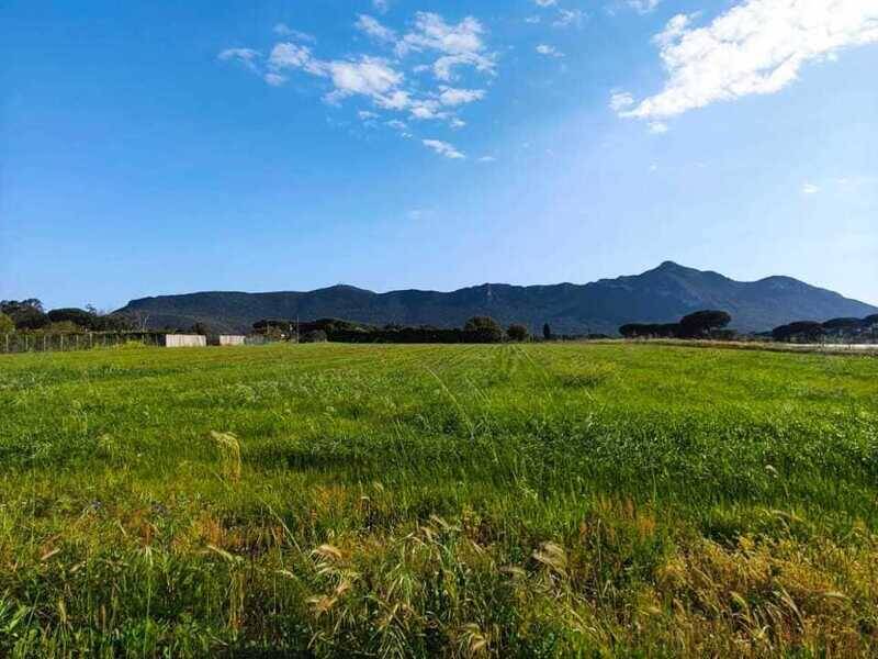 foto principale del terreno