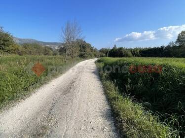 foto principale del terreno