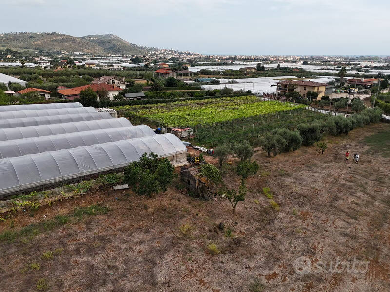 immagine annuncio 1 di 4