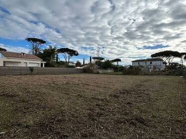 foto principale del terreno