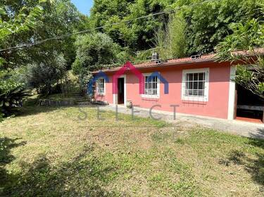 foto principale del terreno