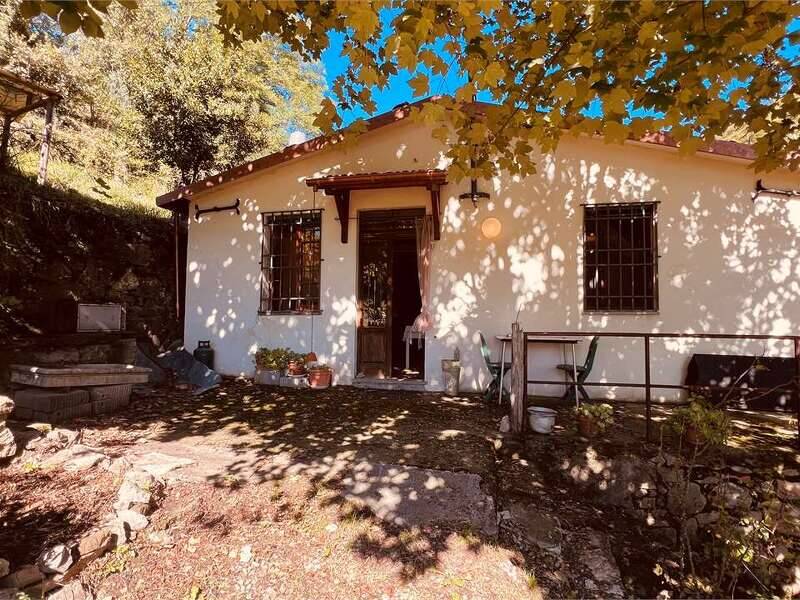 foto principale del terreno