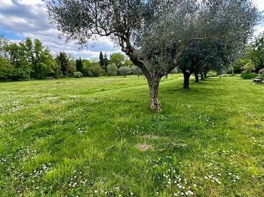 foto principale del terreno