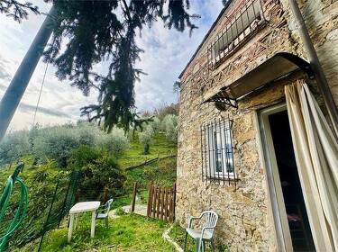 foto principale del terreno