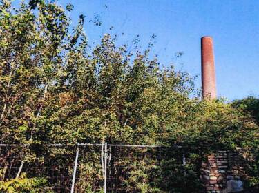 foto principale del terreno