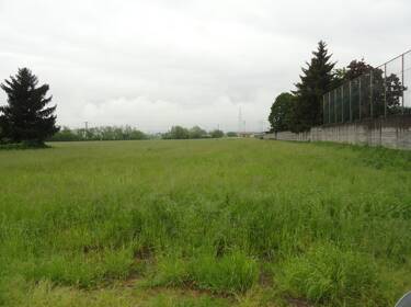 foto principale del terreno