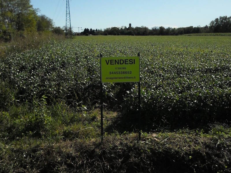 immagine annuncio 3 di 4