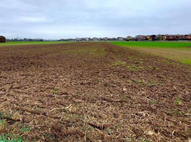 foto principale del terreno