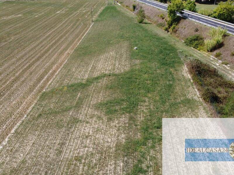 foto principale del terreno