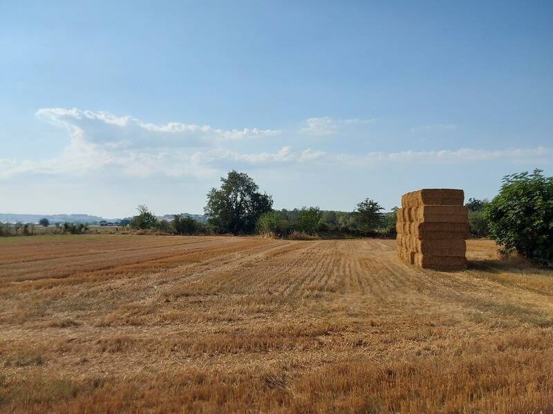 foto principale del terreno