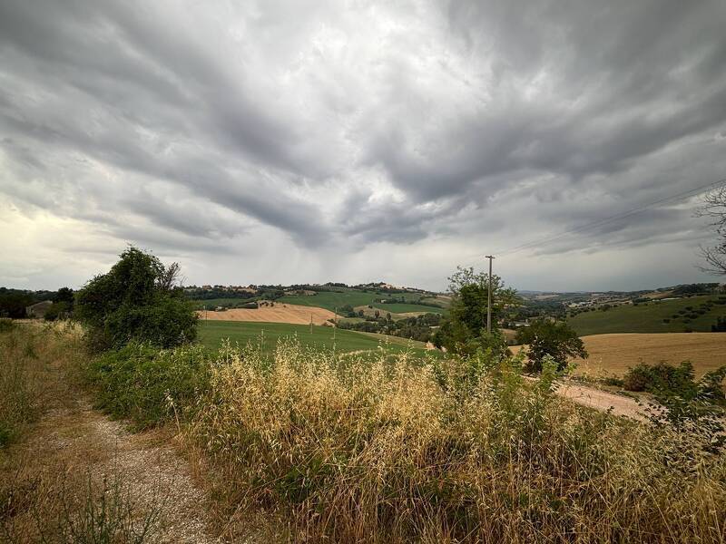 foto principale del terreno