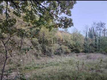foto principale del terreno