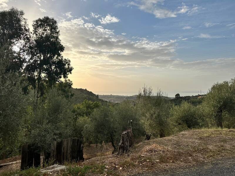 foto principale del terreno