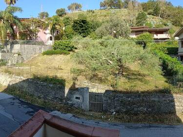 foto principale del terreno