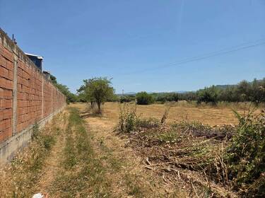 foto principale del terreno