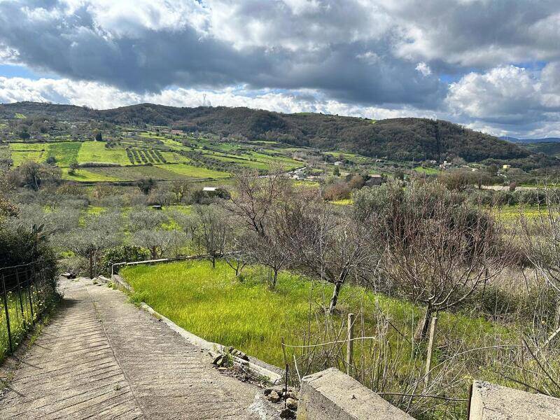 foto principale del terreno