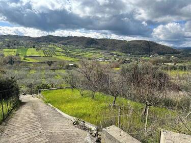 foto principale del terreno