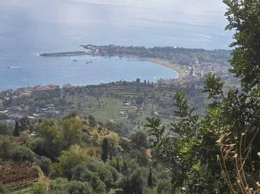 foto principale del terreno