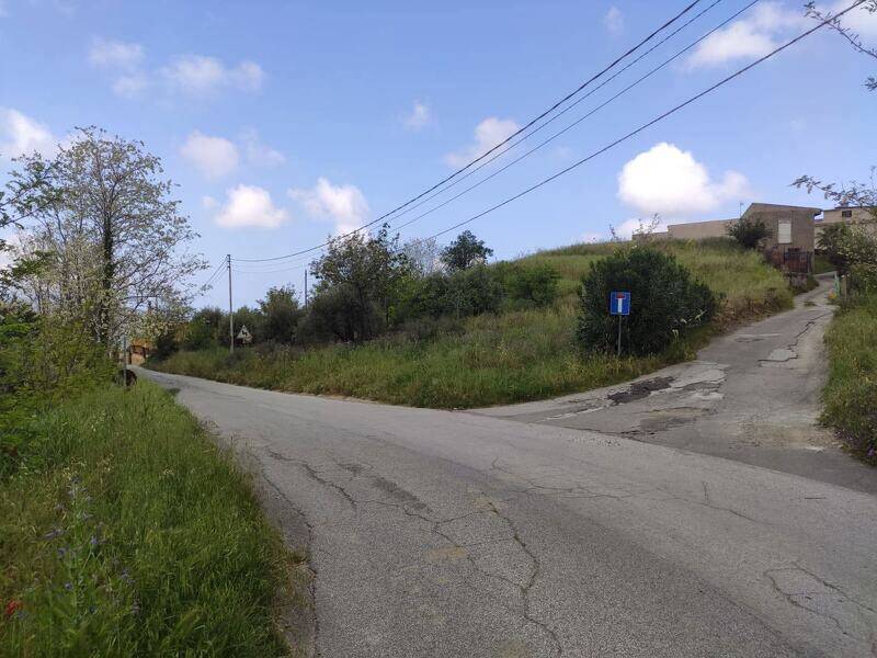 foto principale del terreno