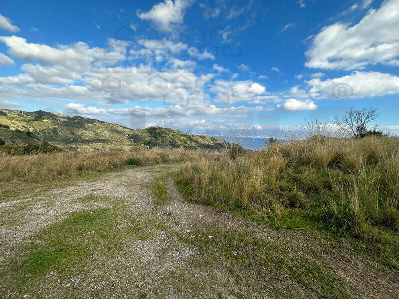 foto principale del terreno