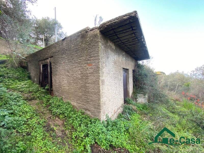foto principale del terreno