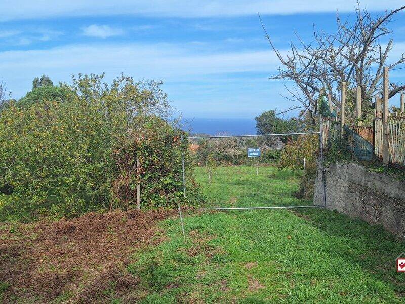 foto principale del terreno