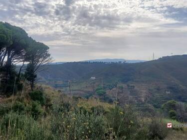 foto principale del terreno