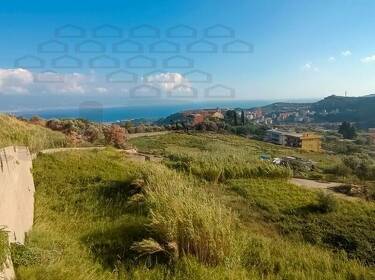 foto principale del terreno