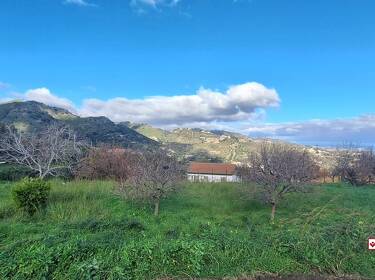 foto principale del terreno