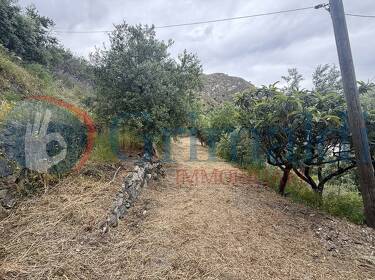 foto principale del terreno