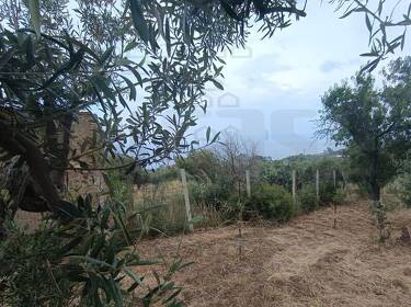 foto principale del terreno