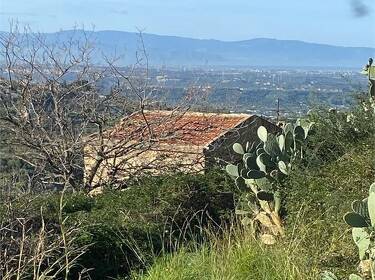 foto principale del terreno