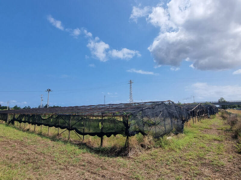 foto principale del terreno