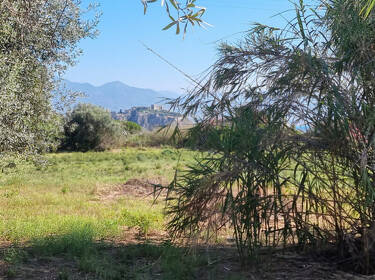 foto principale del terreno