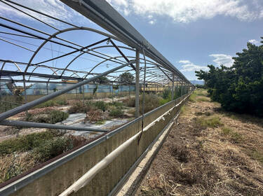 foto principale del terreno