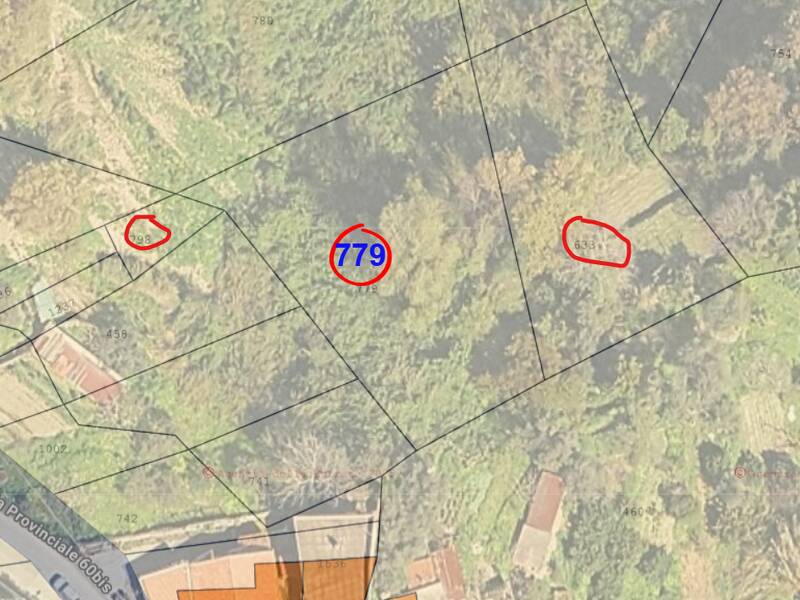 foto principale del terreno