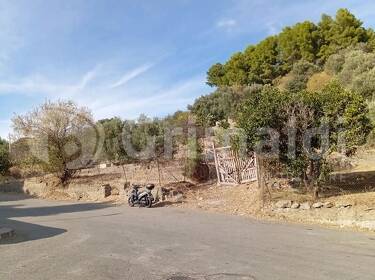 foto principale del terreno