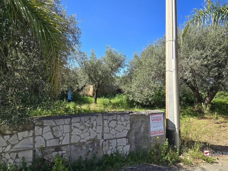 foto principale del terreno