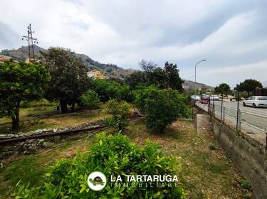 foto principale del terreno